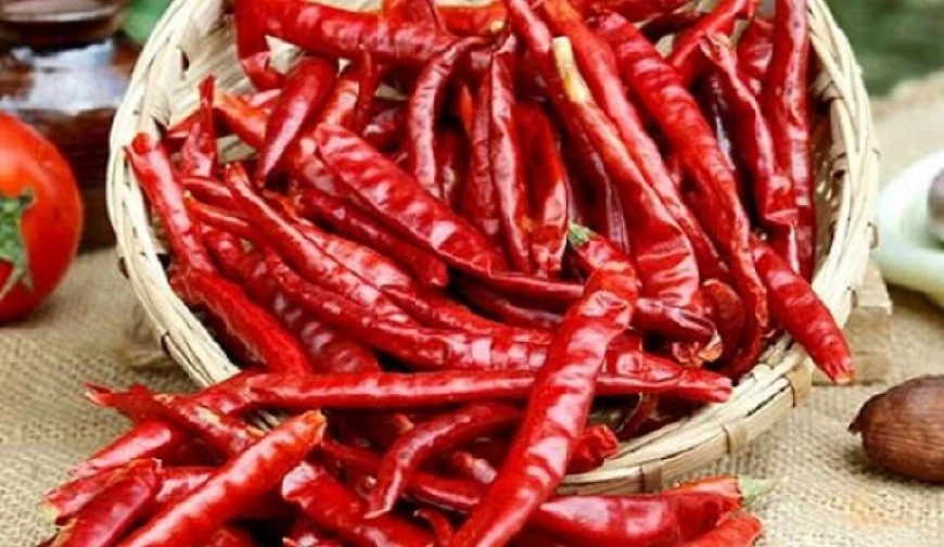 শুকনা মরিচ - ১০০ গ্রাম