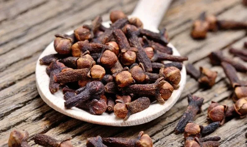 লবঙ্গ - ১০০ গ্রাম